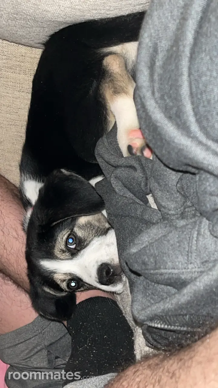 Profile photo 6 of 8