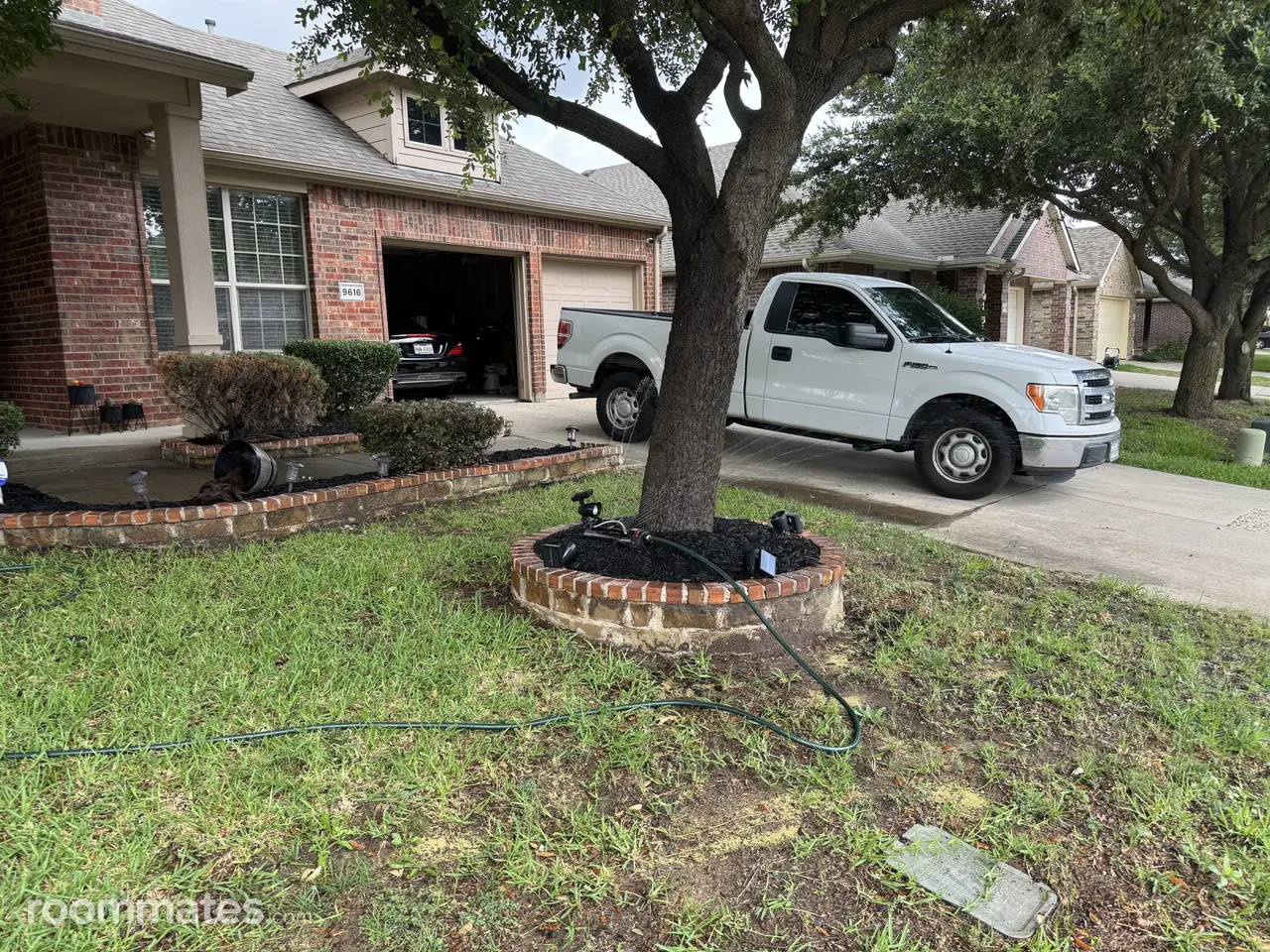 Profile photo 2 of 6