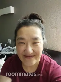 Roommate looking Plano, TX, $500