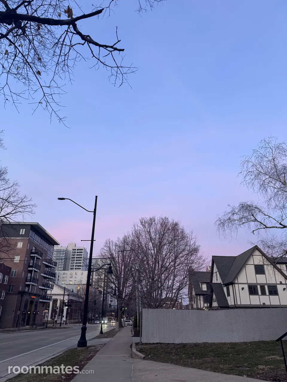 Profile photo 7 of 7