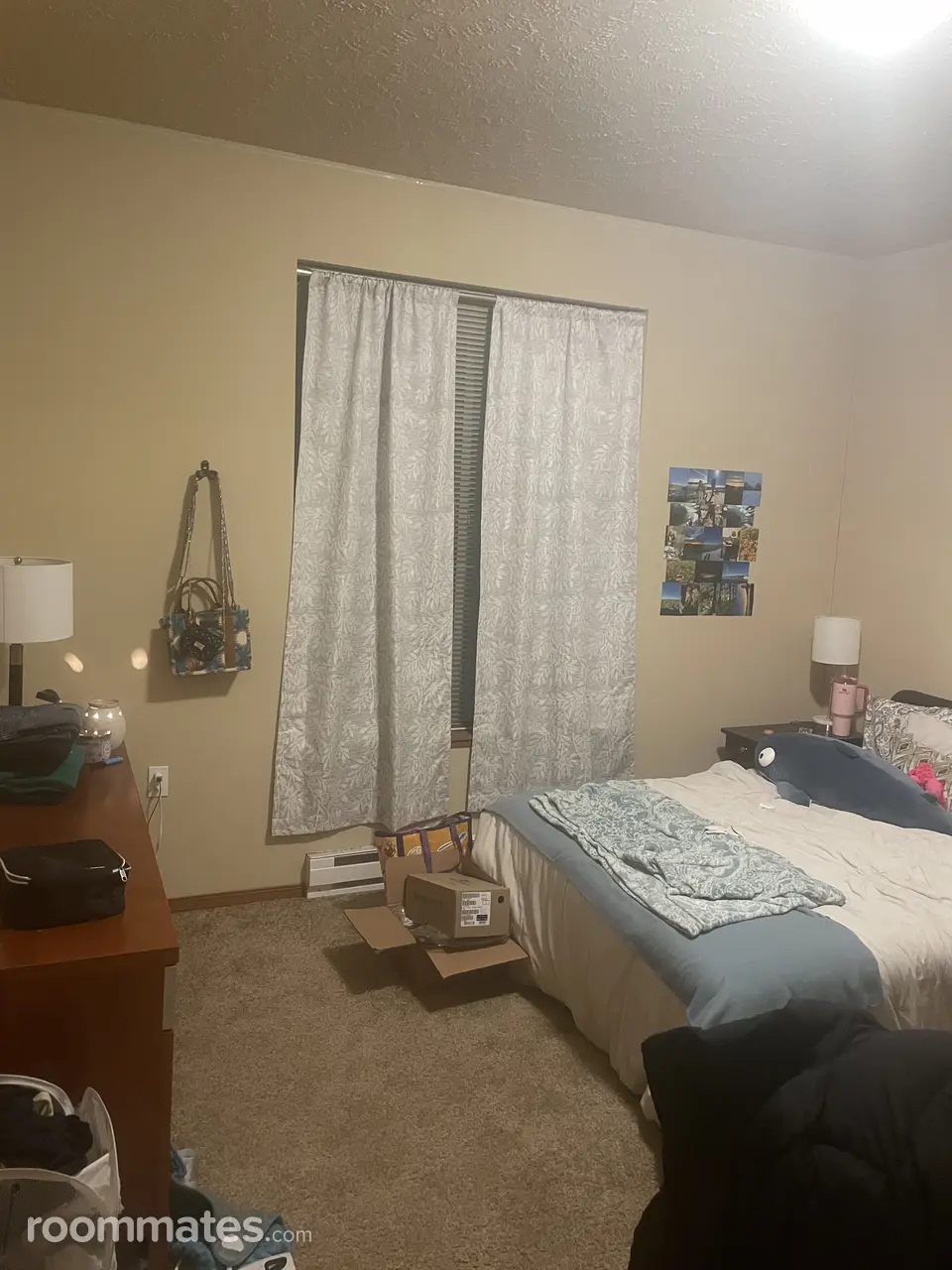 Profile photo 6 of 11