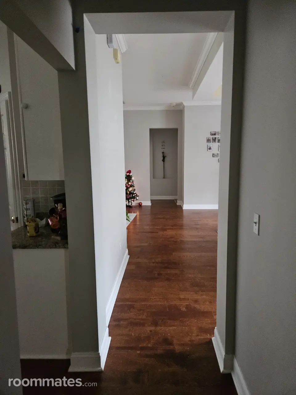 Profile photo 13 of 16