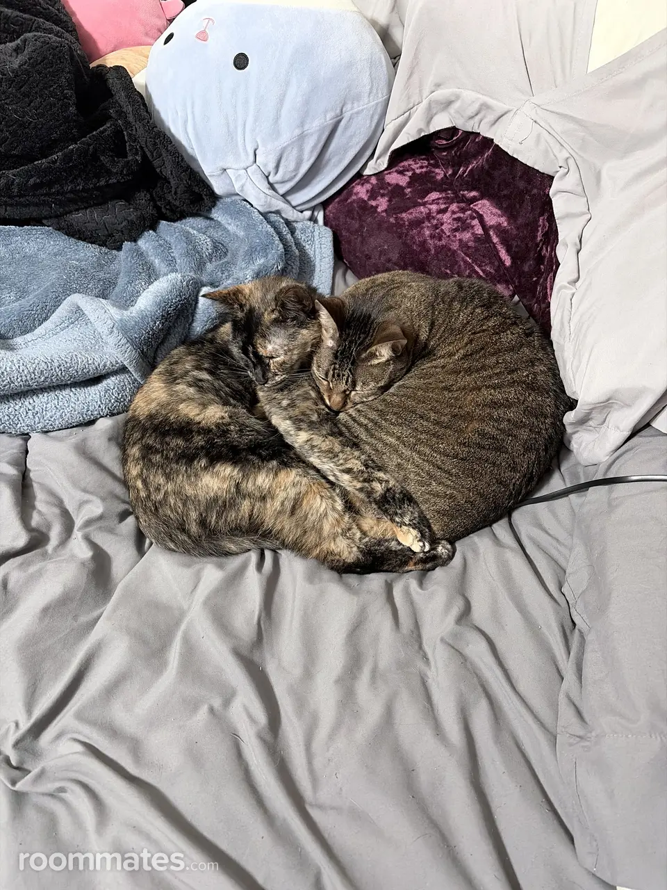 Profile photo 10 of 11