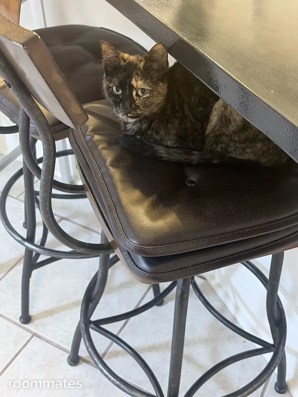 Profile photo 8 of 11