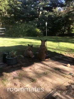 Room for rent in Valatie, NY $600, house