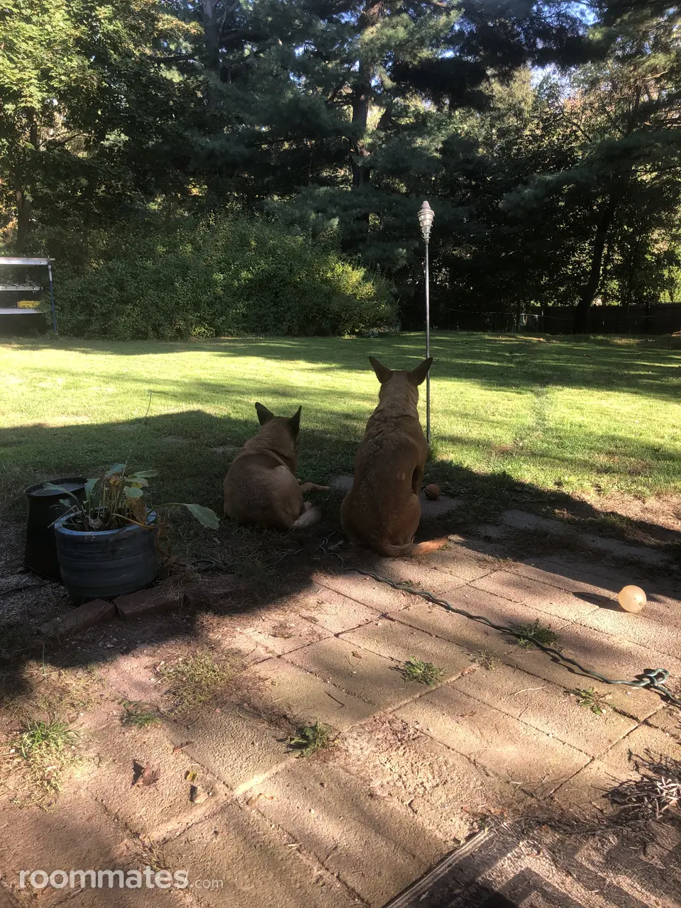 Profile photo 2 of 3