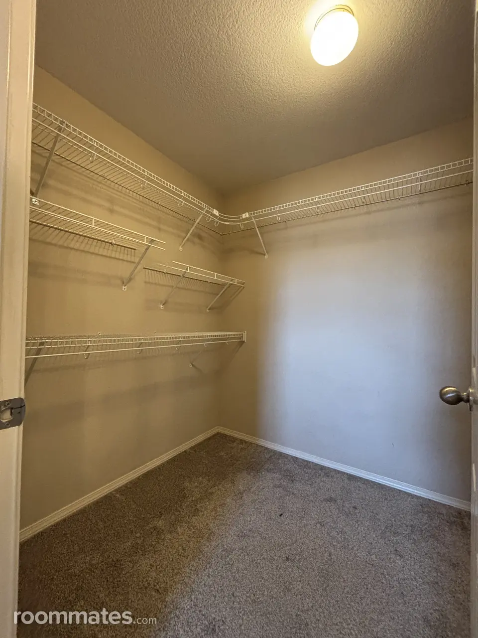 Profile photo 2 of 5