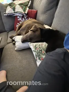 Roommate looking Tulsa, OK, $1000