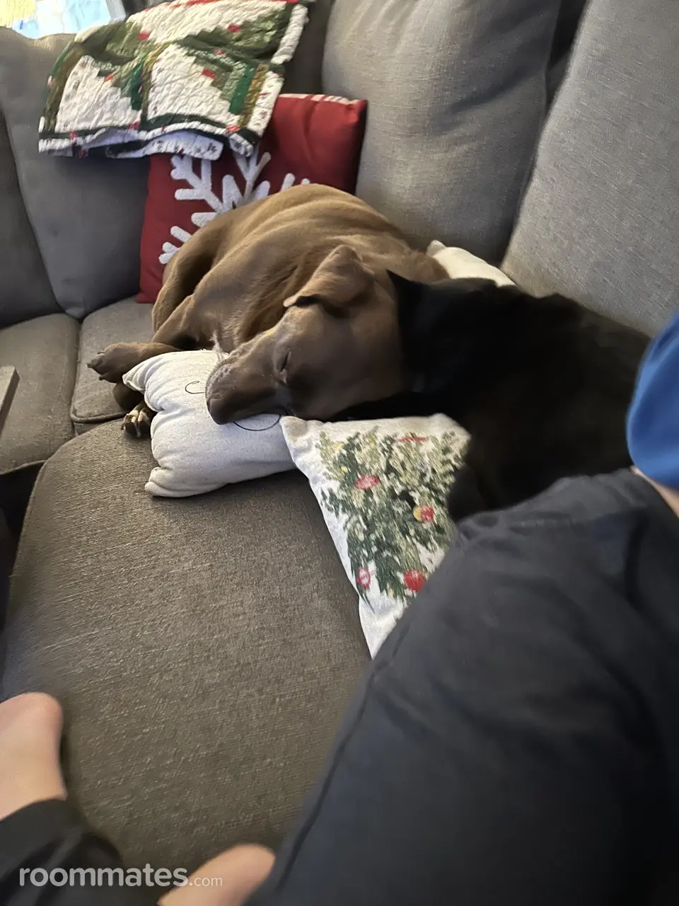 Profile photo 1 of 2