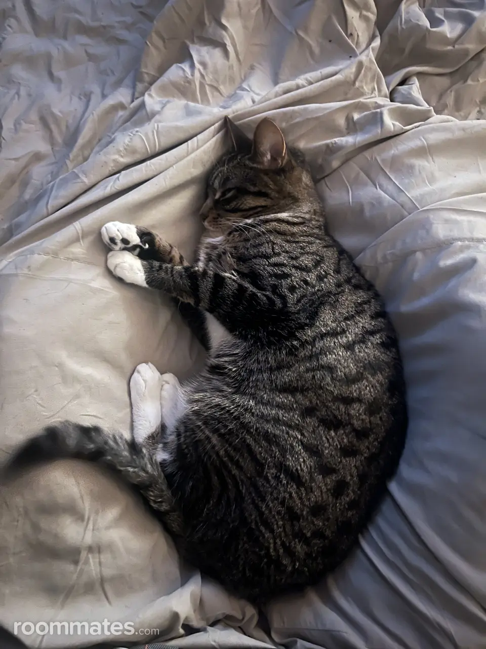 Profile photo 3 of 7