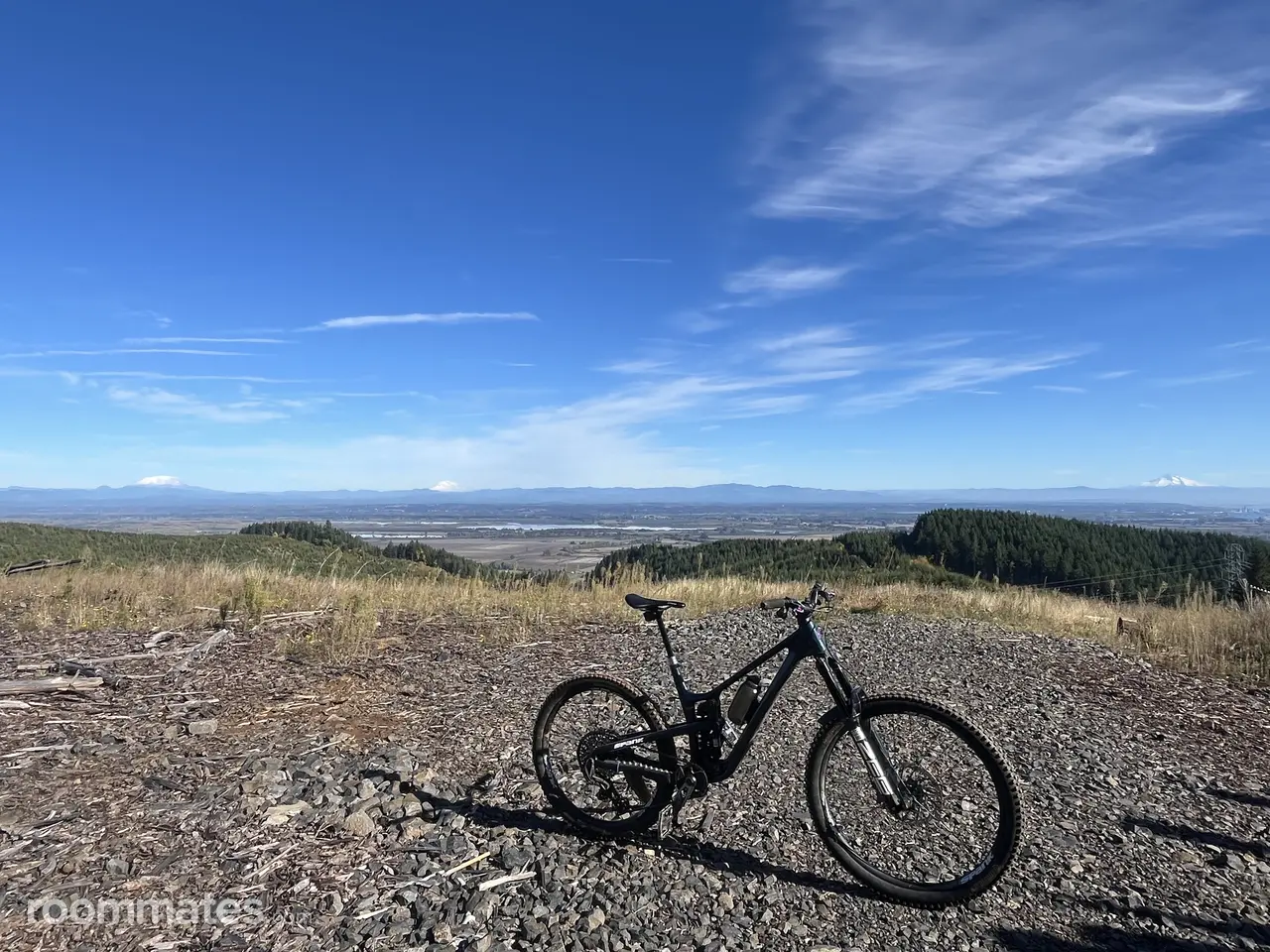 Profile photo 6 of 7