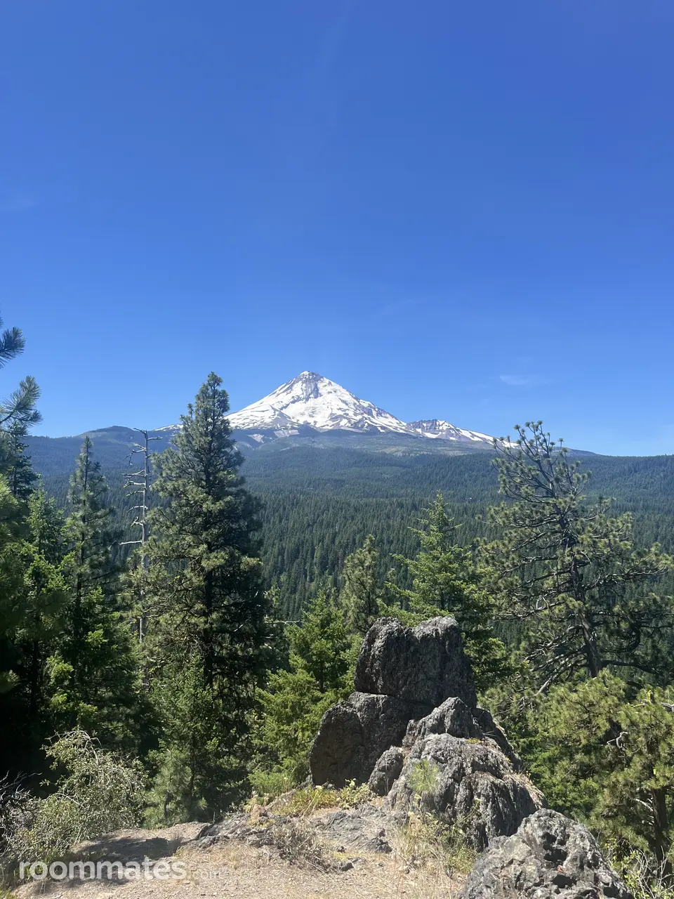 Profile photo 7 of 7