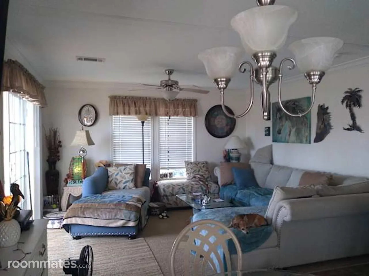 Profile photo 5 of 16