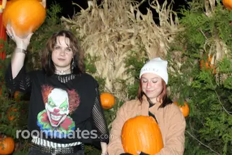 Roommate looking Herriman, UT, $1300