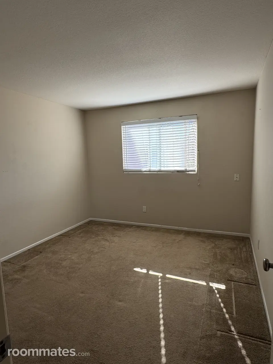 Profile photo 1 of 11