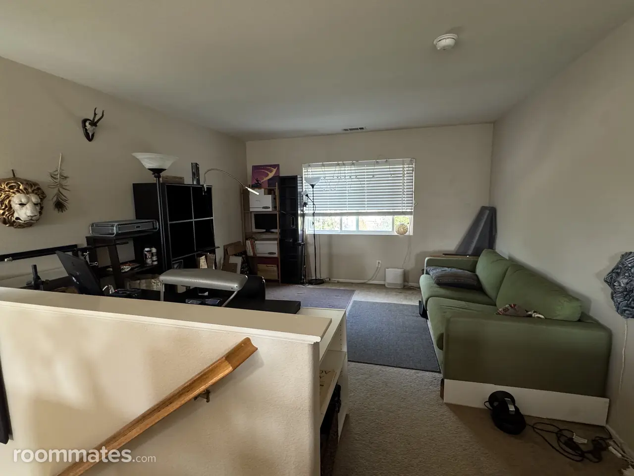 Profile photo 9 of 11