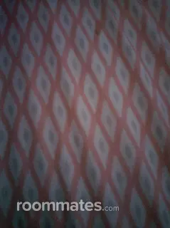 Roommate looking Chambersburg, PA, $600