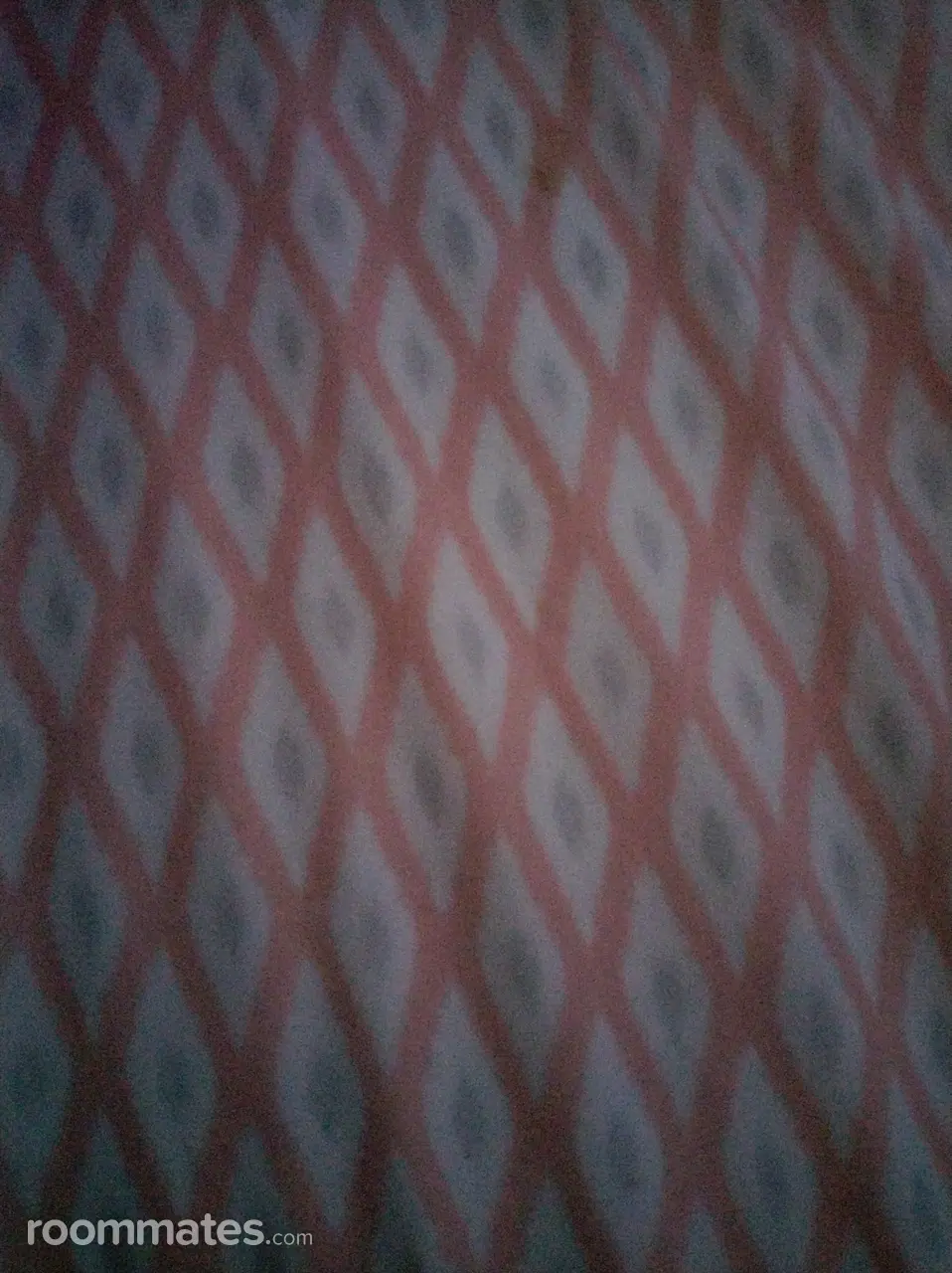 Profile photo 1 of 1