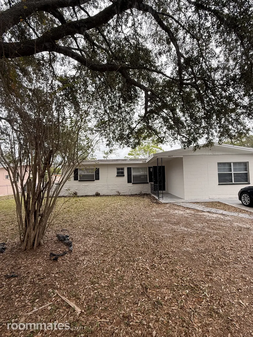 Profile photo 1 of 7