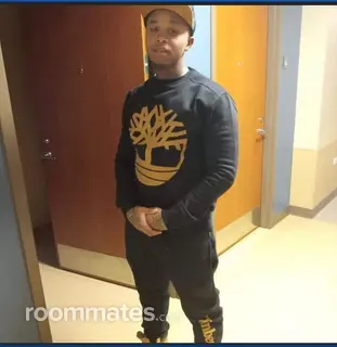 Roommate looking Chicago Heights, IL, $800