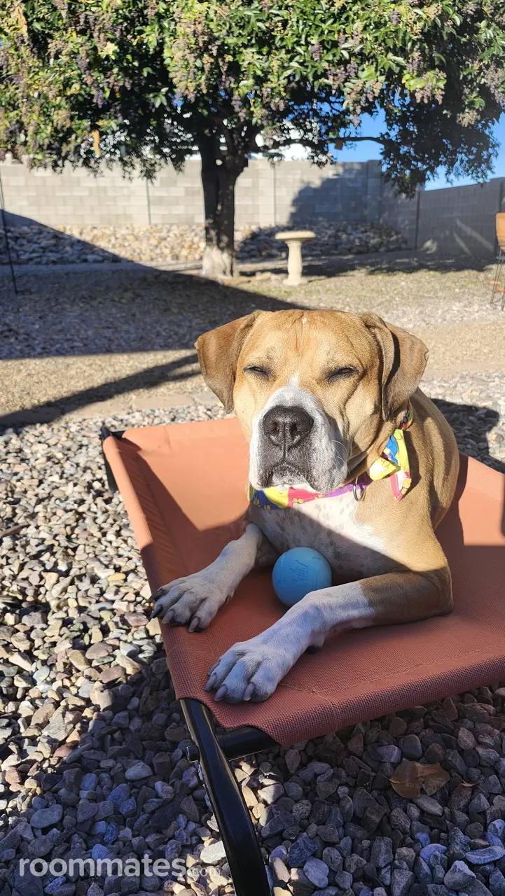 Profile photo 3 of 3