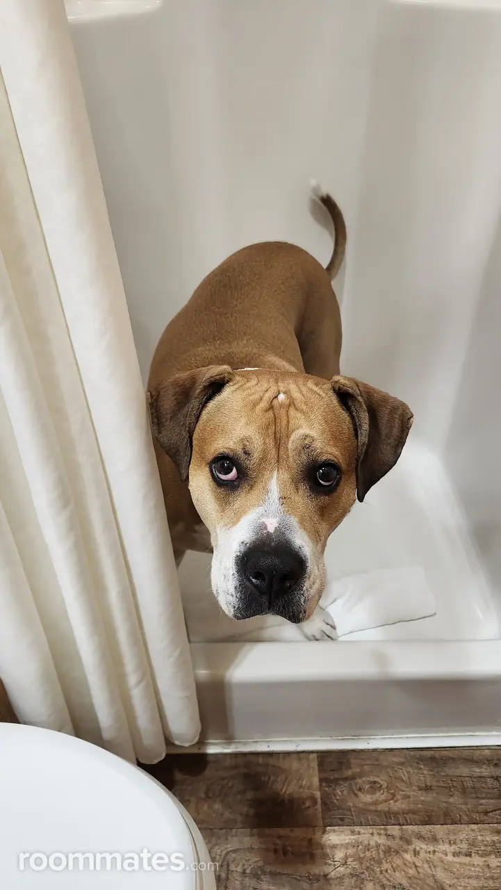 Profile photo 2 of 3