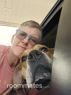 Roommate looking Tucson, AZ, $800