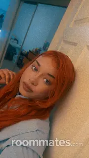 Roommate looking Pensacola, FL, $800