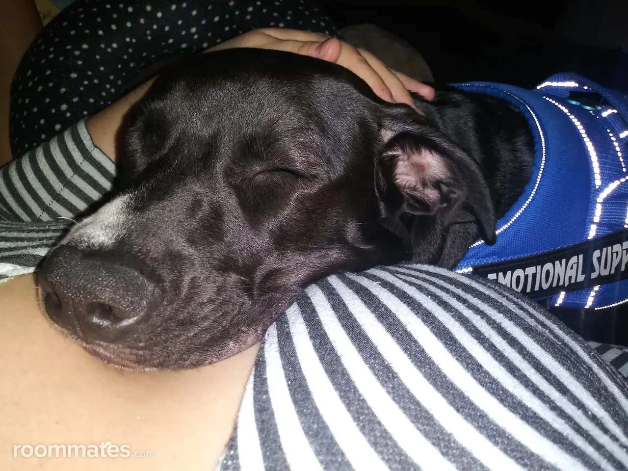 Profile photo 2 of 3