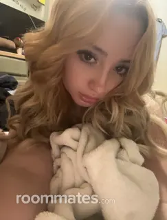 Roommate looking Brandon, MS, $800