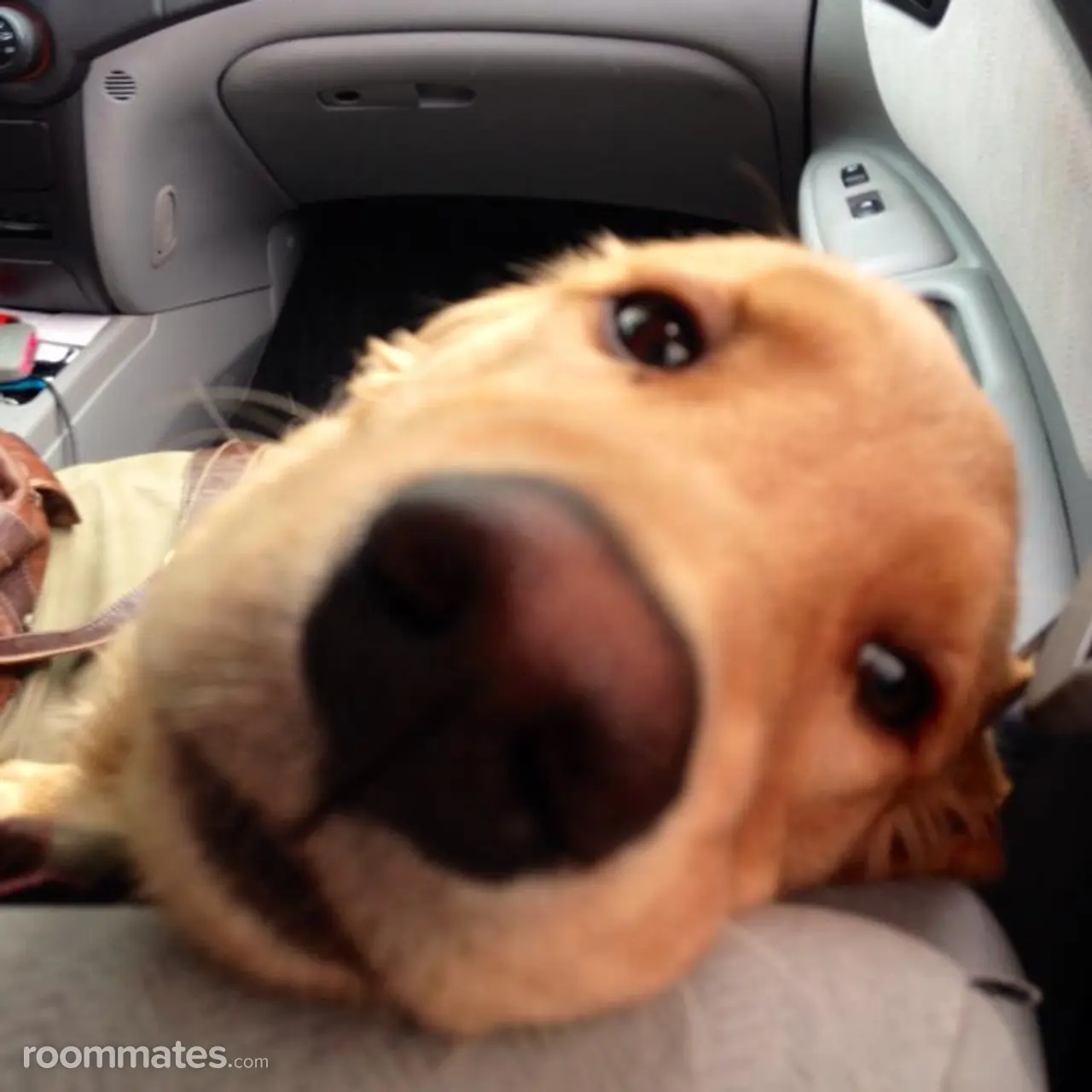 Profile photo 1 of 3