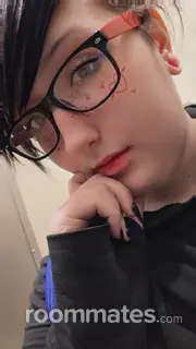 Roommate looking Denver, PA, $500