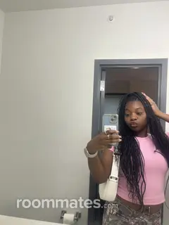 Roommate looking Ann Arbor, MI, $500