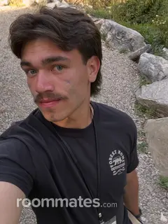 Roommate looking Fullerton, CA, $1000