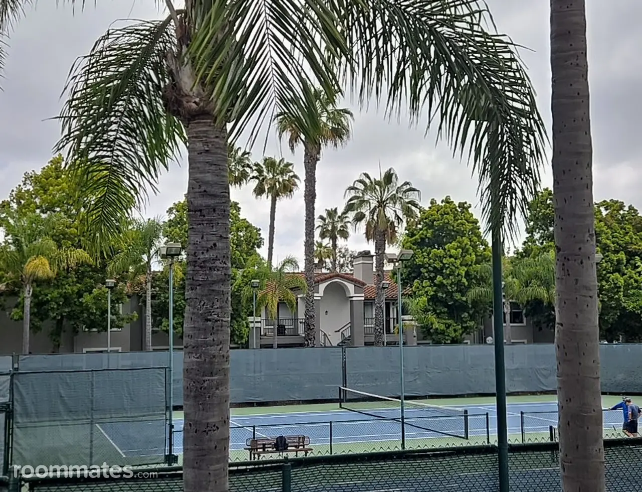 Profile photo 6 of 11