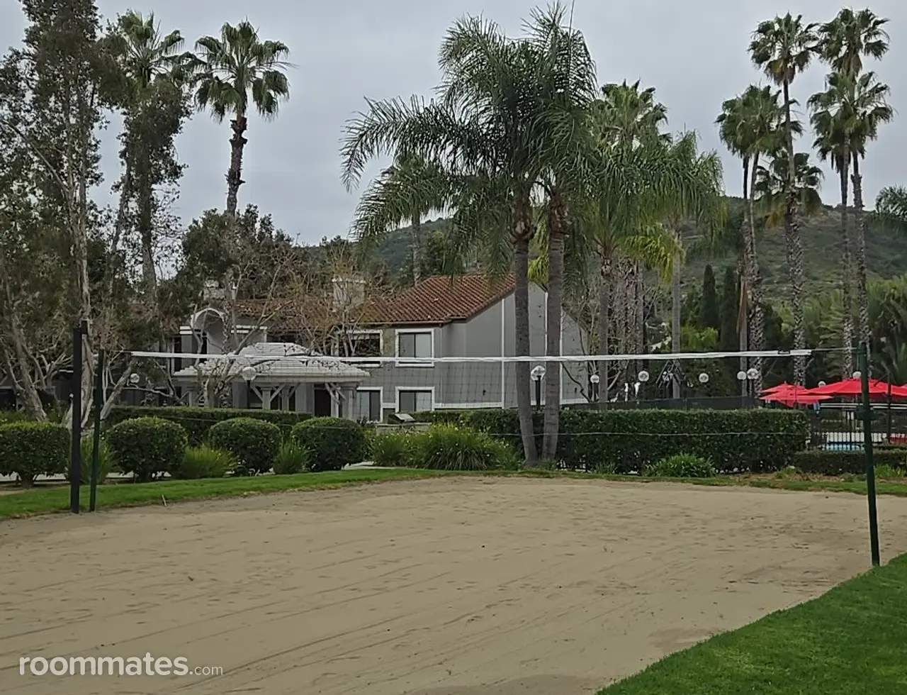 Profile photo 7 of 11