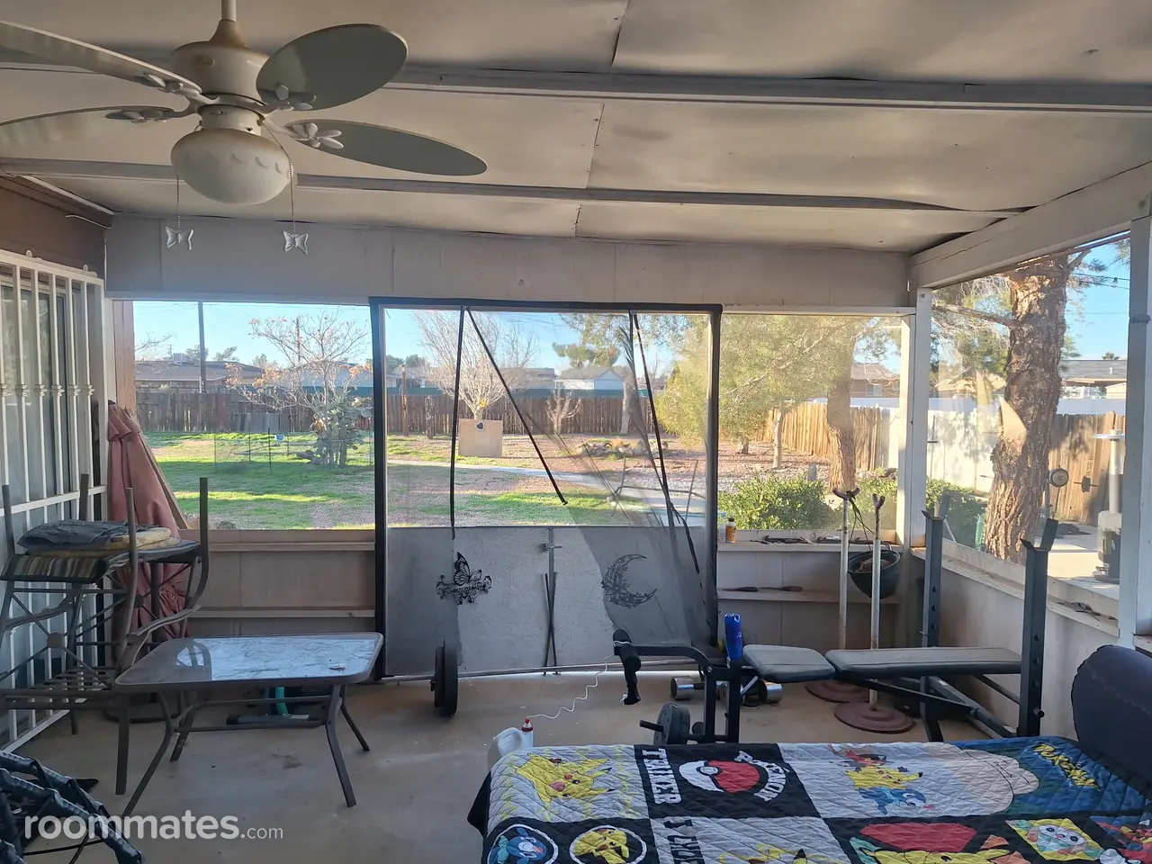 Profile photo 8 of 12