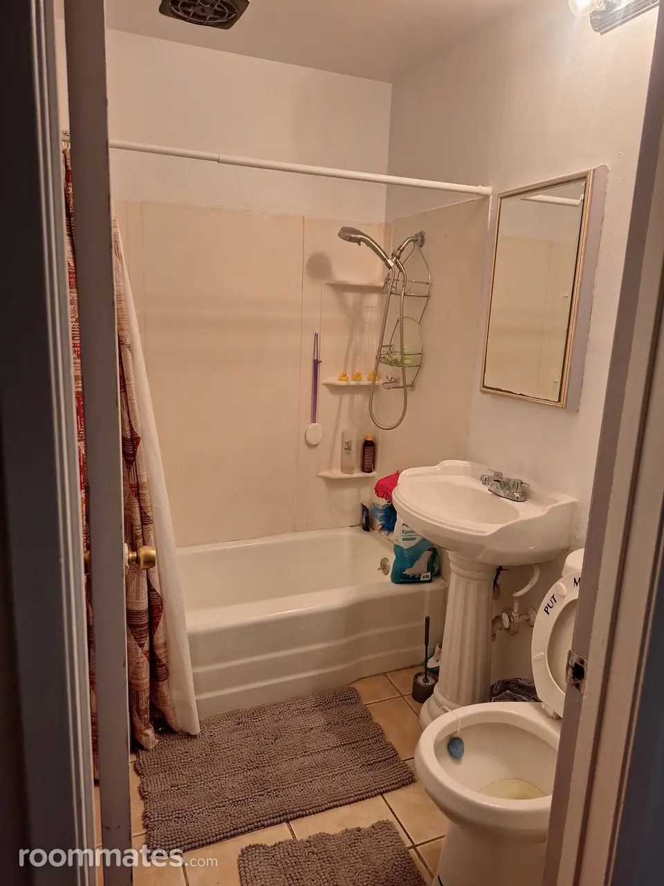 Profile photo 10 of 12