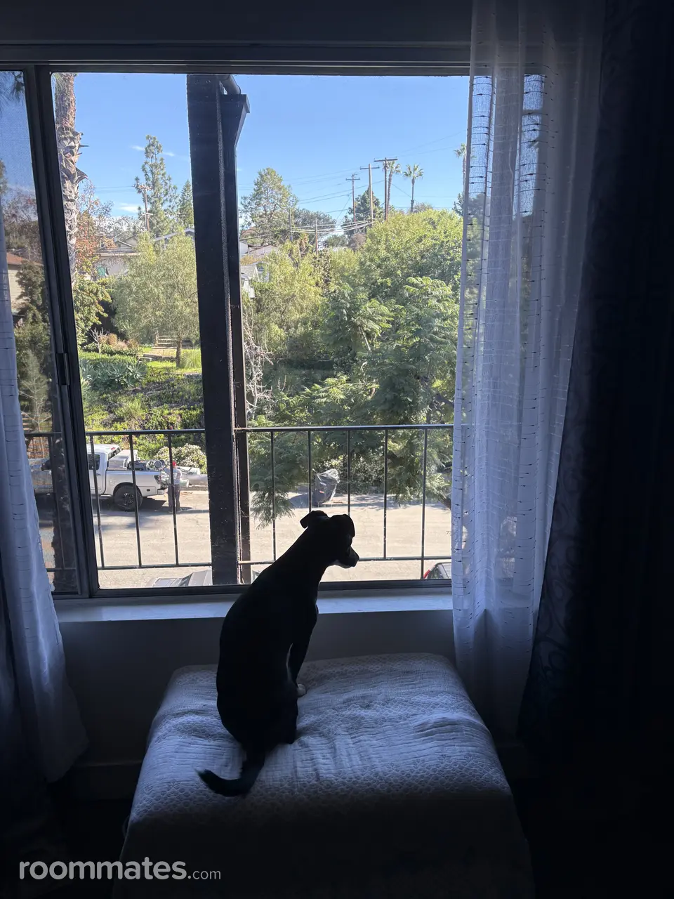 Profile photo 5 of 8