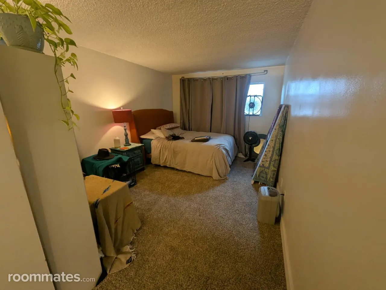 Profile photo 1 of 8