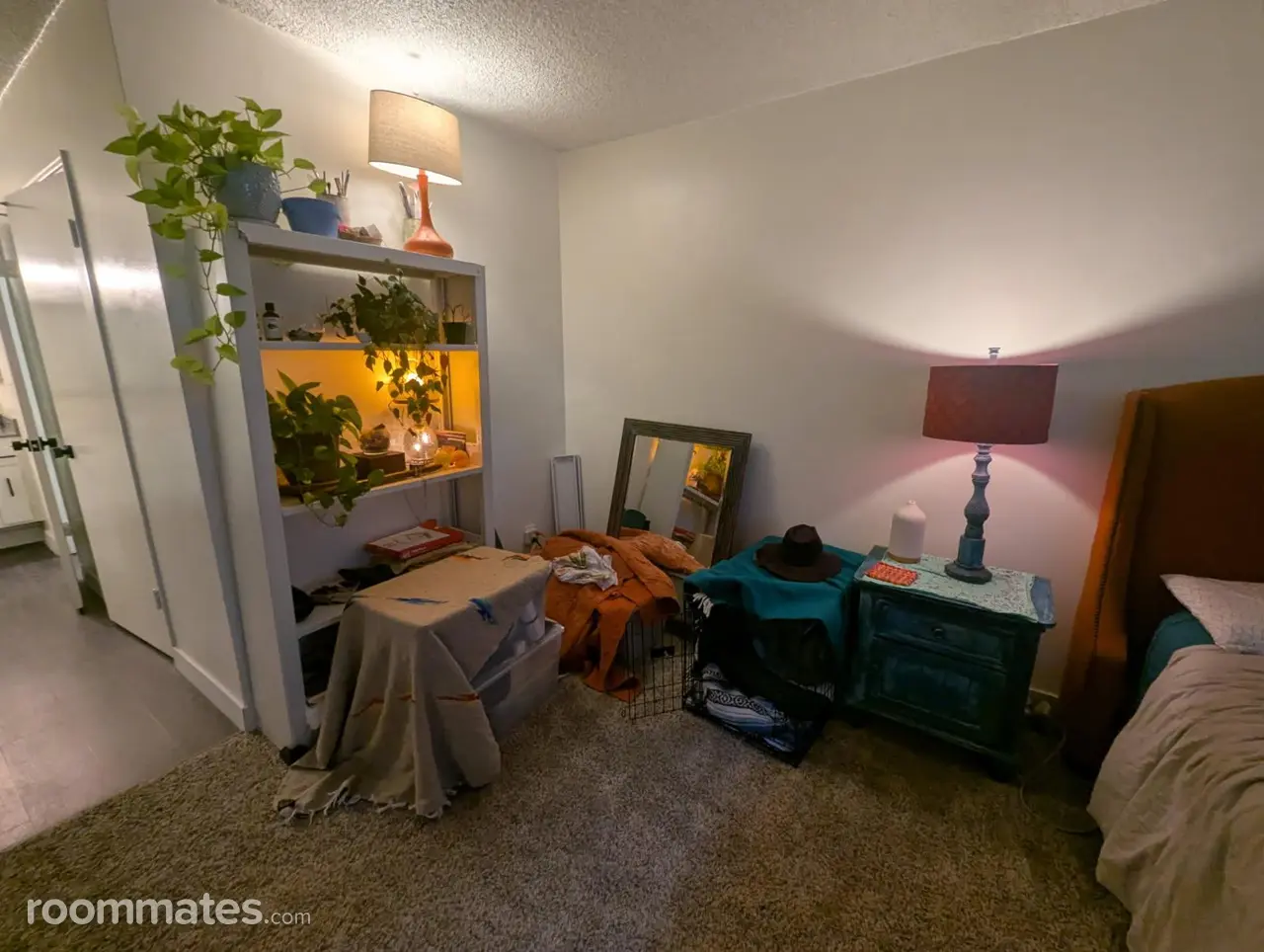 Profile photo 2 of 8