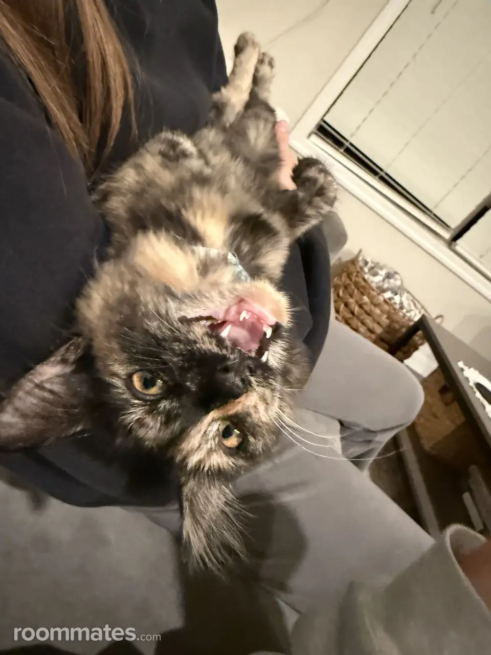 Profile photo 11 of 13