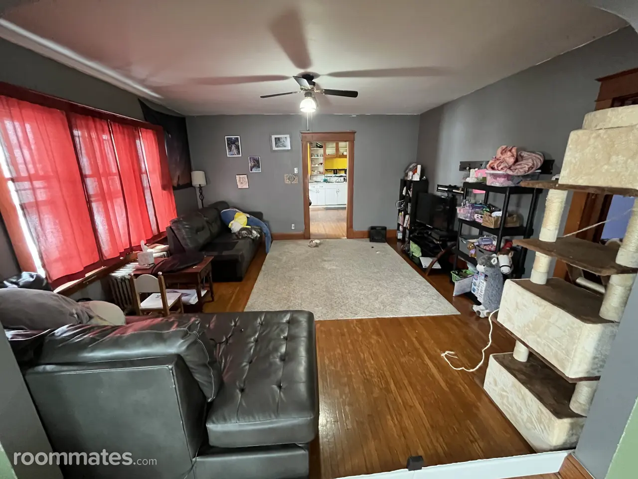 Profile photo 3 of 10