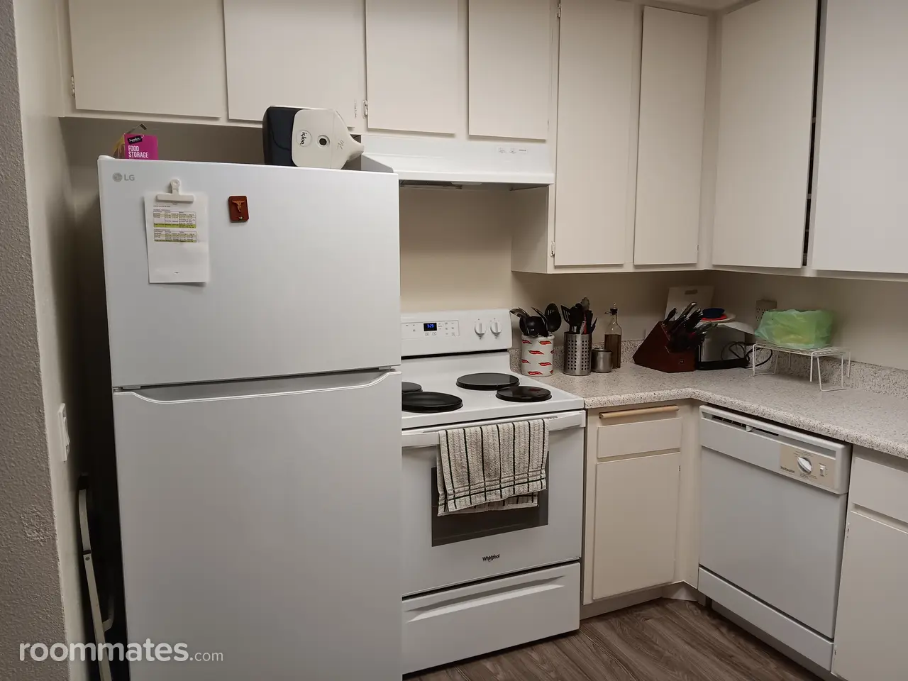 Profile photo 8 of 11