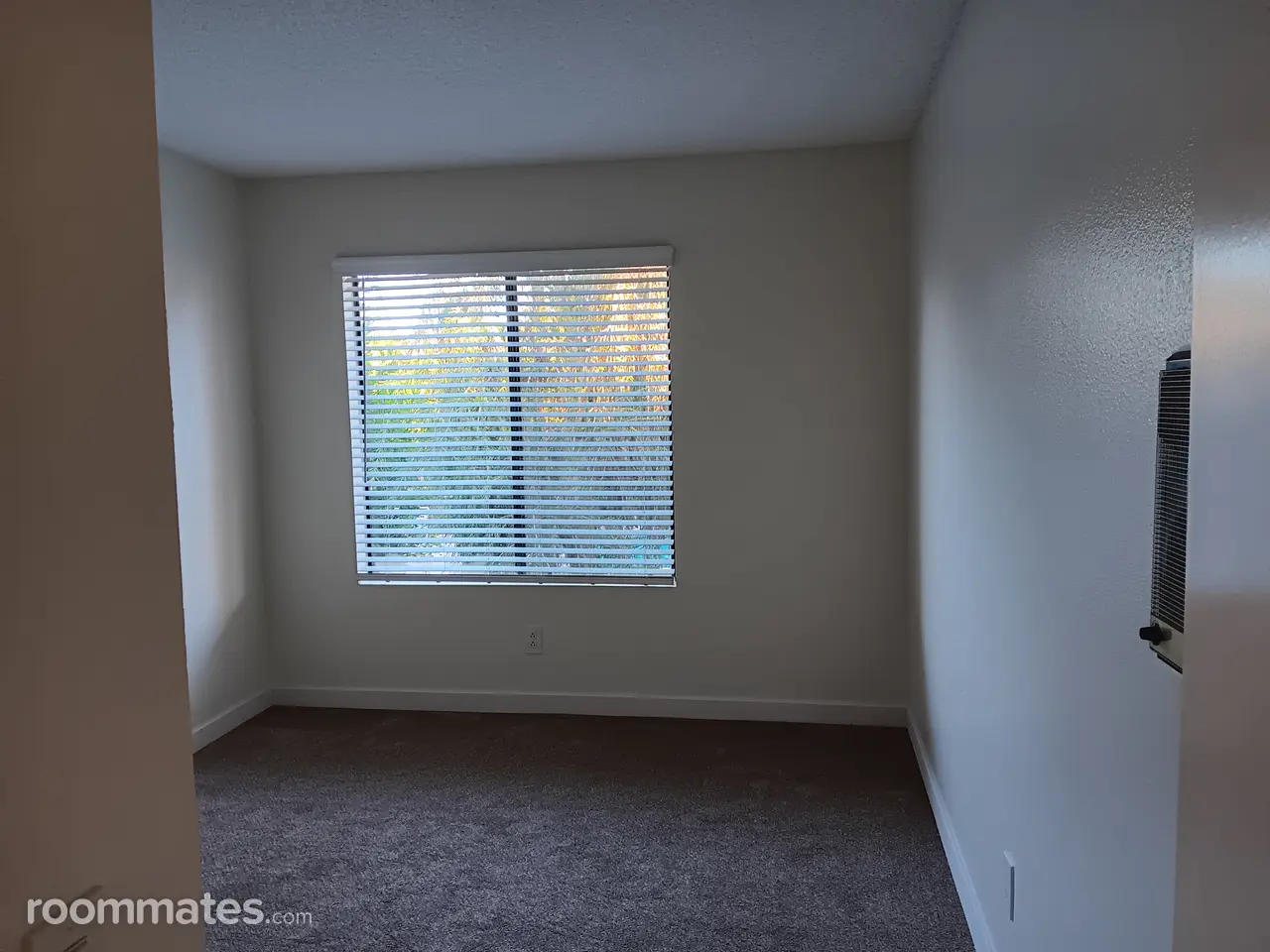 Profile photo 3 of 11