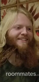 Roommate looking Olympia, WA, $1200