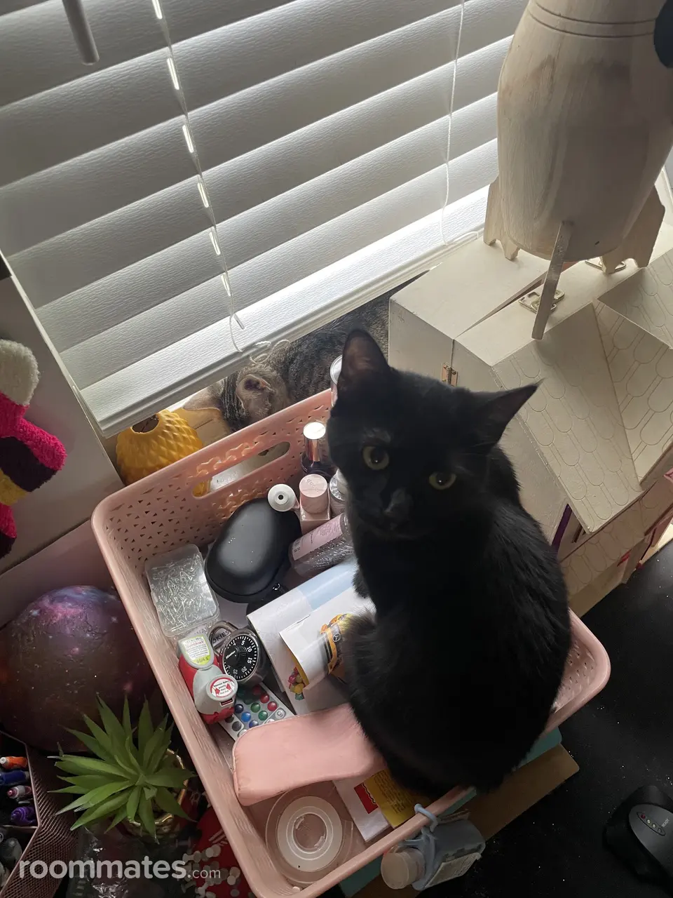 Profile photo 3 of 11