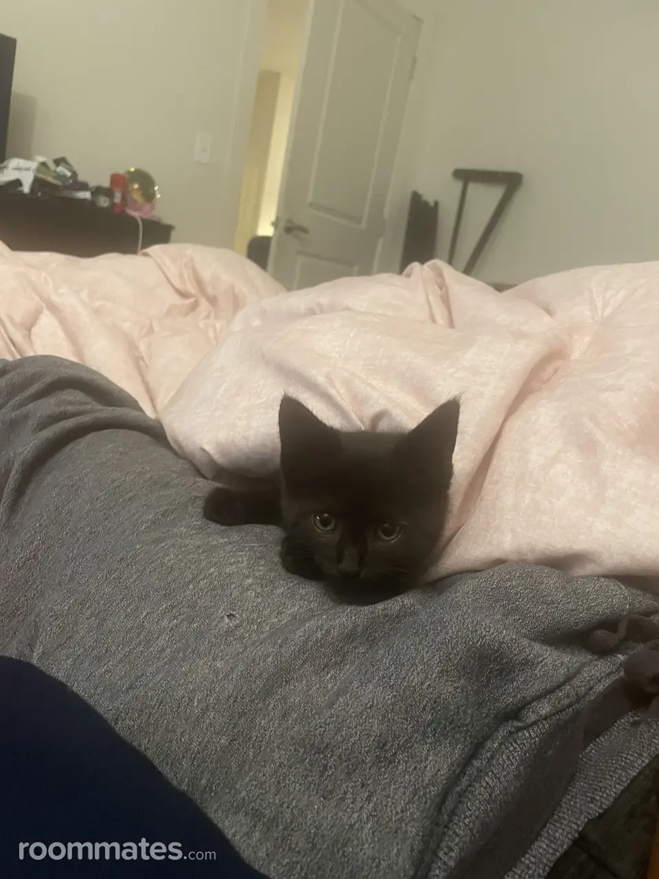 Profile photo 9 of 11