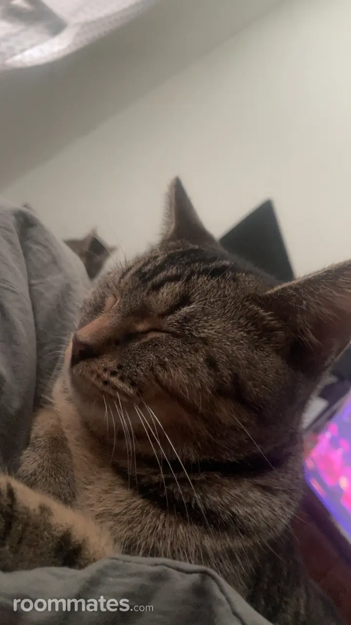 Profile photo 1 of 11