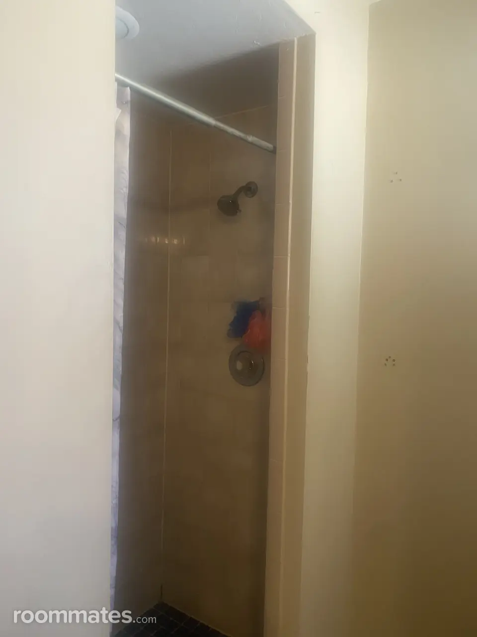 Profile photo 2 of 11